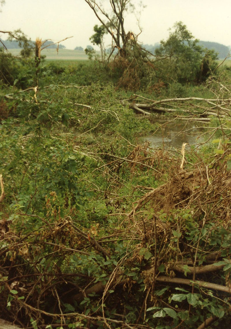 1990
Tornado damage in Cedar Fork. West Bellville
 
W133