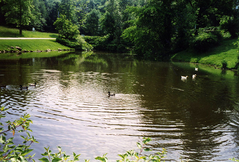 1998
Malabar Farm State Park
Photo ID PL: #235