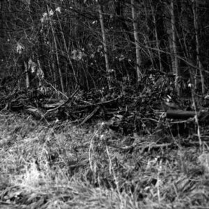 01_01_2003_Steel_Road_USDA_Emergency_Flood_Repair__1_website-2596