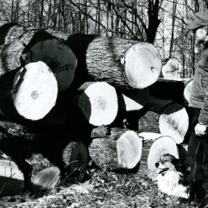 01_12_1967_Jack_Gatton_with_logs_harvested_at_his_farm.__Dog_is_Brick__website-3807