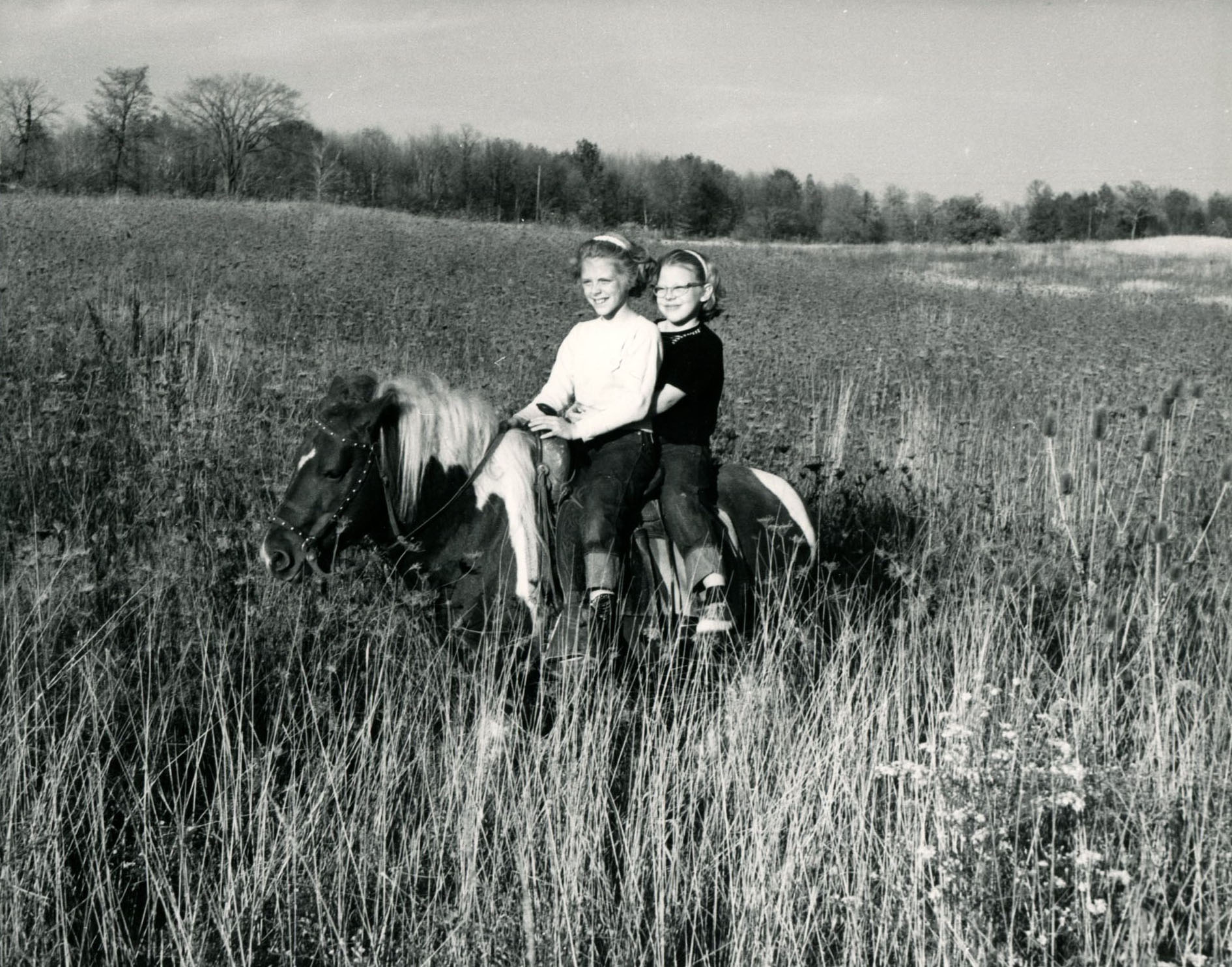 January 14, 1963
Robin and Marilyn Dent on Cochise
Photo ID#: PL1