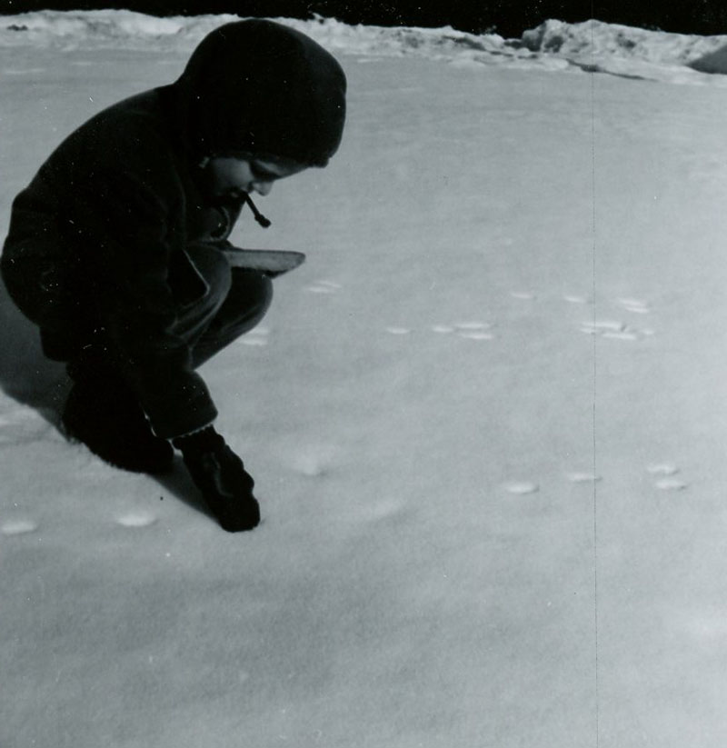 January 26, 1968
Ed Lenger's windbreak, Tracking rabbits
Photo ID#: S707