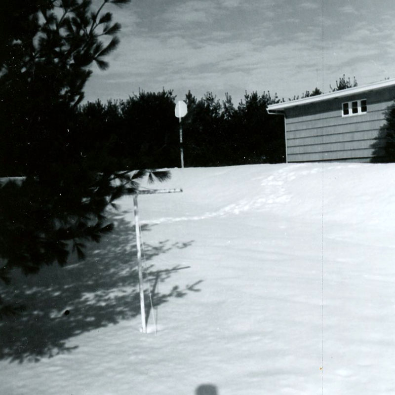 January 26, 1968
Ed Lenger's windbreak
Photo ID#: S704