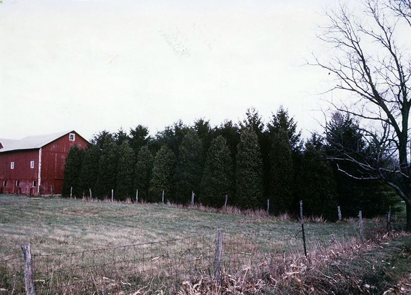 February 1983
Photo ID#: S714