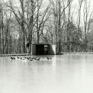 02_15_1981_Duck_Box_with_predator_protection._Gunthes_Meise_Pond_website-5874