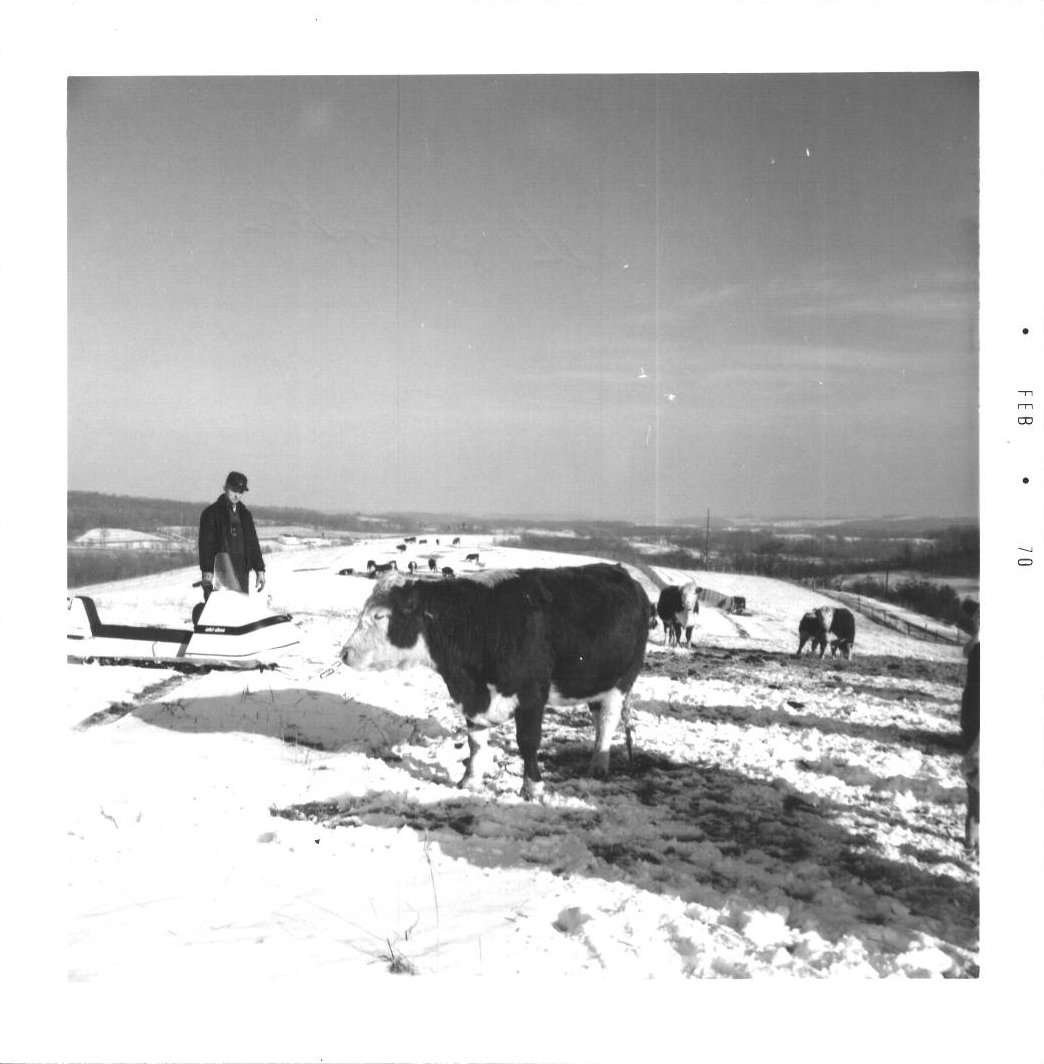 February 16, 1970
Ralph Winters Farm
Photo ID#: A5