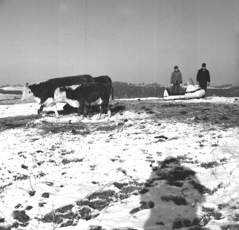 February 16, 1970
Steve and Ralph Winters 
Photo ID#: A314