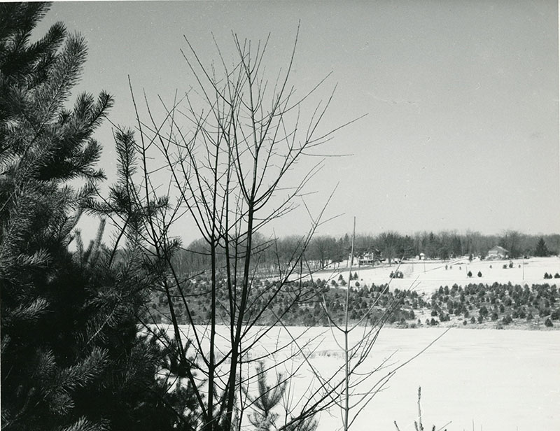 February 25, 1964
John Hattery's Farm Wildlife Area
Photo ID#: S101