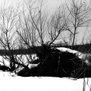 02_25_1964_Muskrat_house_in_swamp_at_John_Hattery_farm_website-4512