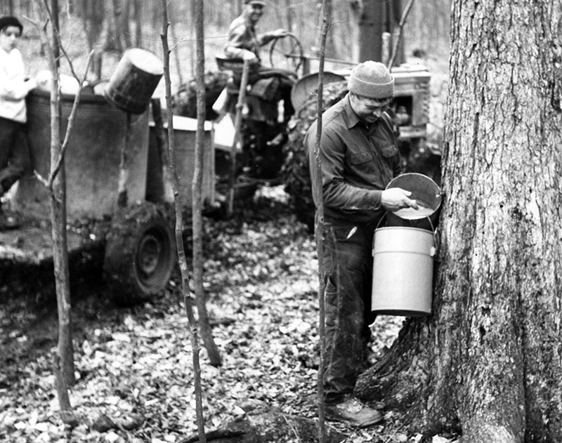 March 2, 1974
Howard Isley is shown as he gathers sap for maple sugar production
(Background) Kenneth Isley drives the tractor
Photo ID#: A517