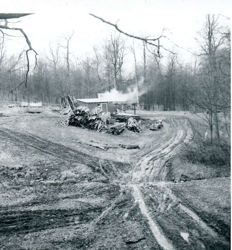 March 2, 1974
Isley sugar bush
Photo ID#: A518