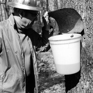03_06_1973_Leo_Fair_woods._Norris_Quam_SCS_Woodland_Conservationist__examines_maple_sugar_sap_production_website-1072