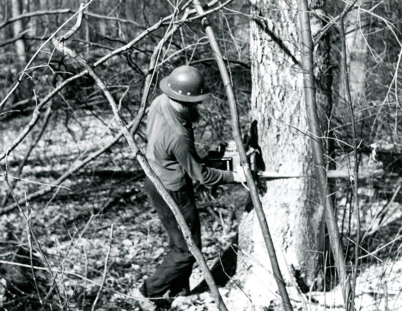 March 6, 1973
levi Mast (Timber Cutter) is shown here as he harvests a mature tree at Ed Arnold's Woods
Photo ID#: S102