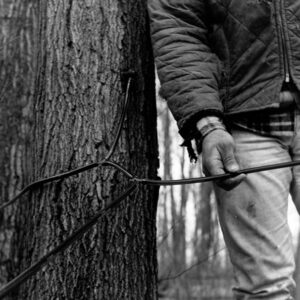 03_06_1975_Greg_Benson_is_shown_with_a_tubing_hop___connection_at_the_Harry_Benson_sugar_bush_website-1073