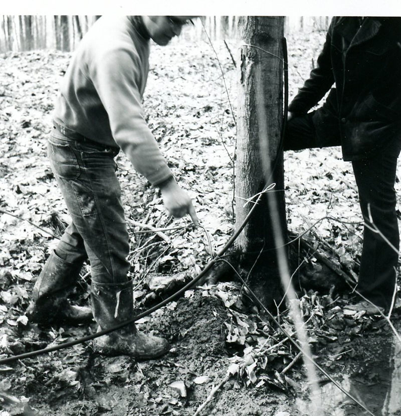 March 6, 1975
Harry Benson, Jeff Van Loon
Photo ID#: A531