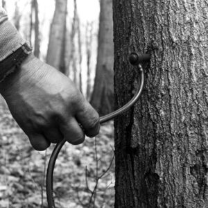 03_06_1975_Harry_Benson_is_shown_with_a_tubing_tap_at_his_maple_sugar_bush_website-1077