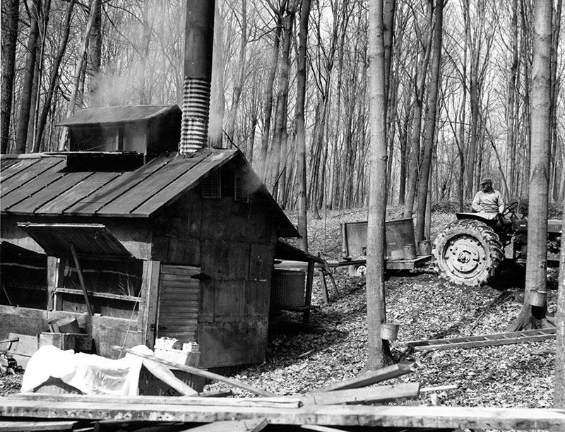 March 8, 1968
Harry Benson maple sugar camp
Photo ID#: A539