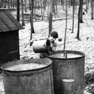 03_09_1968_Jeff_Benson_at_Harry_Benson_Maple_Sugar_Camp_website-1096