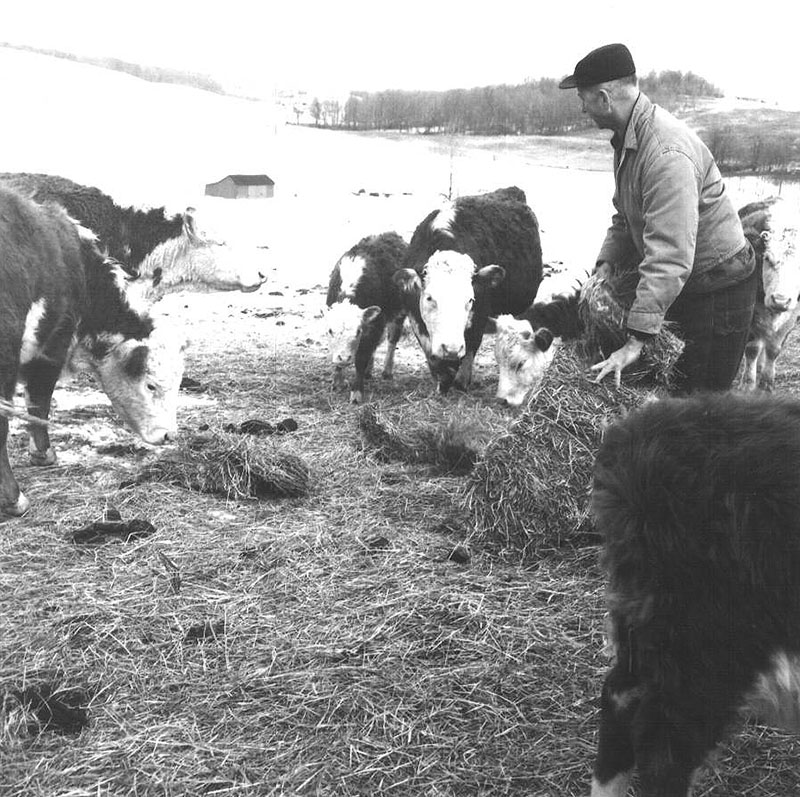 March 15, 1968
Ralph Winters
Photo ID#: A321