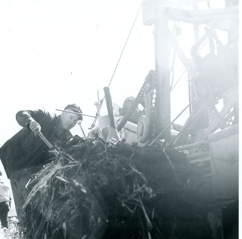 March 18, 1968
Harold Company (tile drainage contractor) and John Winger, installing tile at the John Winger Farm
Photo ID#: A702