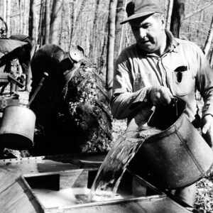 03_18_1969_Eldo_Fair_pictured_at_work_gathering_sap_in_the_sugar_bush_2_website-1105