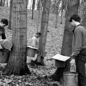 03_19_1968_Gregg__Harry___Jeff_Benson_at_Harry_Benson_Maple_Sugar_Camp_website-1111