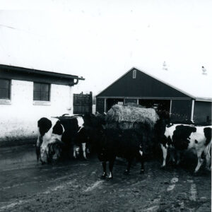 03_19_1976_David_Culler_Farm.Bale_Tour_1_website___Copy-731