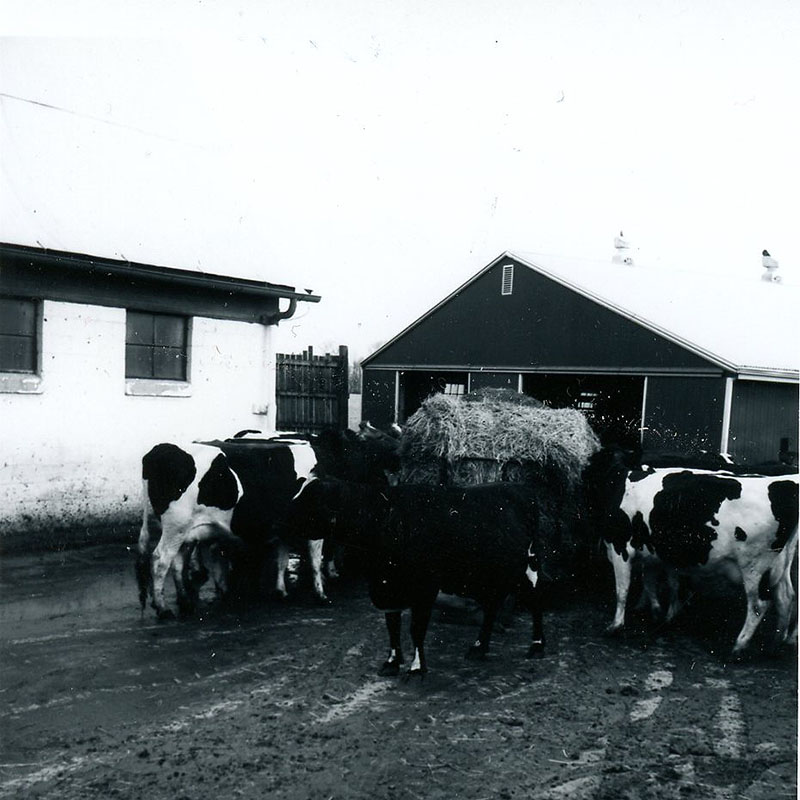 March 19, 1976
David Culler 
Farm Bale Tour
Photo ID#: A328