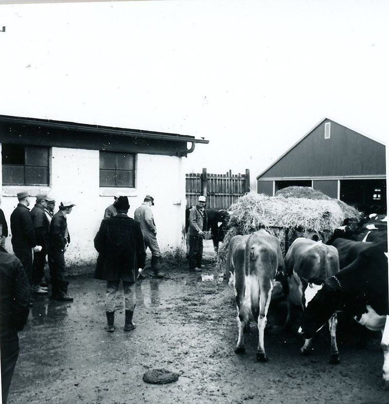 March 19, 1976
David Culler 
Farm Bale Tour
Photo ID#: A329