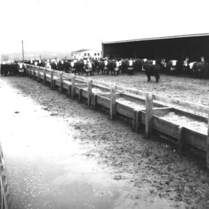03_20_1972_D._Witmer_South_Farm_Marion__1_website___Copy-733