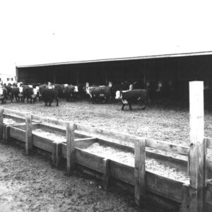 03_20_1972_D._Witmer_South_Farm_Marion__2_website___Copy-734