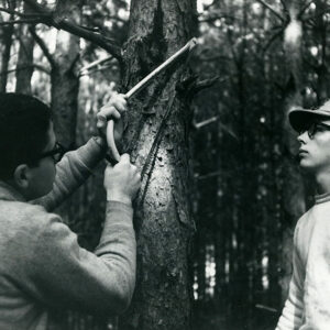 03_22_1966_Dick_Janis___Larry_Brightfield_prunning_red_pine_at_Cye_Reeder_Lumber_Company_Farm_Butler_website-3817