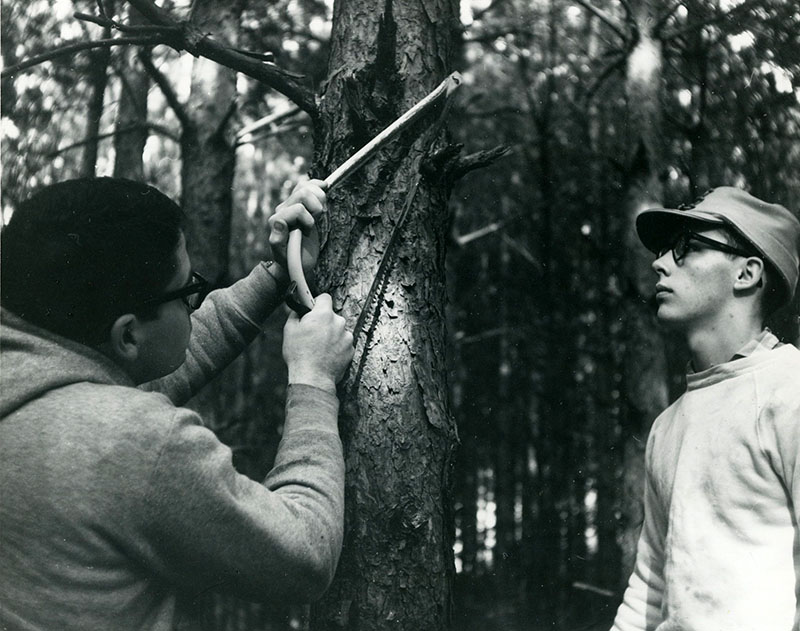 March 22, 1966
Dick Janis and Larry Brightfield prunning red pines
At the Reeder Lumber Company Farm in Butler
Photo ID#: S107