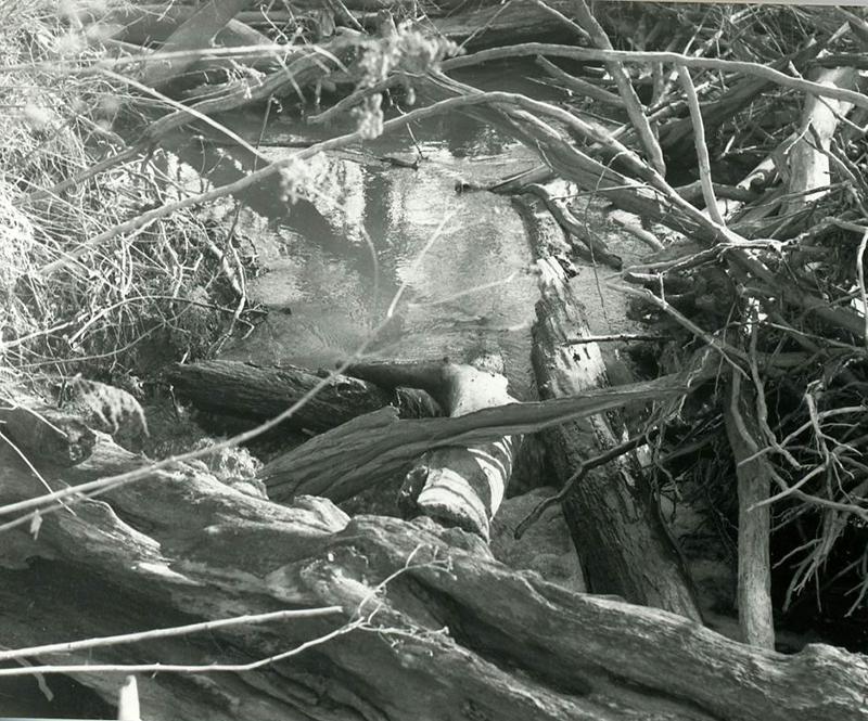 March 1987
Anatomy of a logjam
Photo ID#: S225