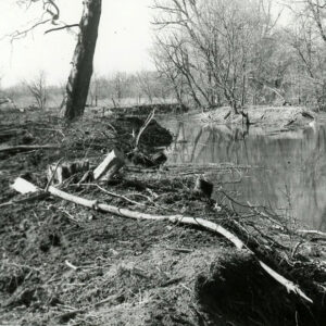 03_87_Cleared___snagged_Blackfork_River_looking_North_towards_London_E._Road__Ferguson_farm_website-3953