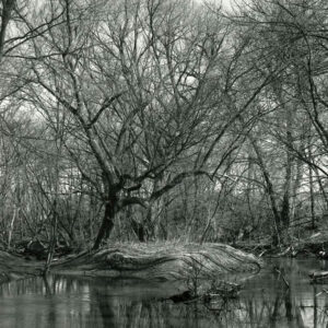 03_87_Meandering_Blackfork_and_large_sediment_bar_on_Harry_Ferguson_website-3957