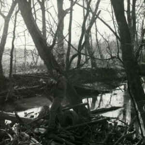03_87_Medium_sized_logjam_with_debris___sediment_in_channel_website-3958