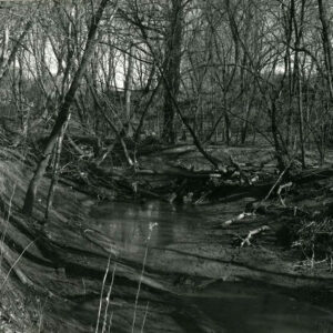 03_87_Oxbow_cut_off_by_small_logjam_causing_stream_to_meander._Prior_to_clearing_snagging__Ferguson_farm_website-3960