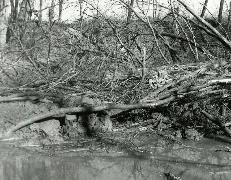 March 1987
Oxbow on Black Fork River
Photo ID#: S235