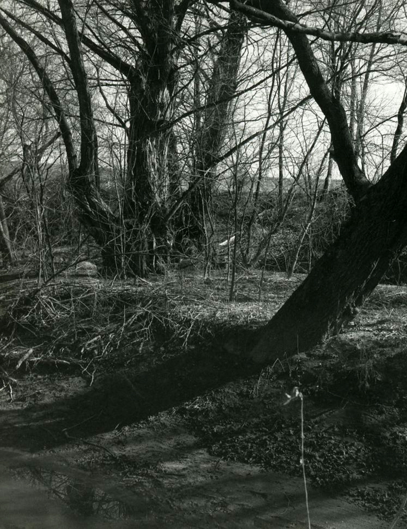 March 1987
Sediment bar caused by meandering Black Fork River
Photo ID#: S236