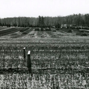 04_00_0000_Seedlings_being_picked_up_for_RSWCD._Pa._website-5879