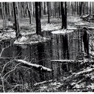 04_02_1972_Tod_Mills_shown_with_depressional_soil_at_the_Mrs.Fern_Farm_in_Ashland_Co_near_Geneva_0001-266