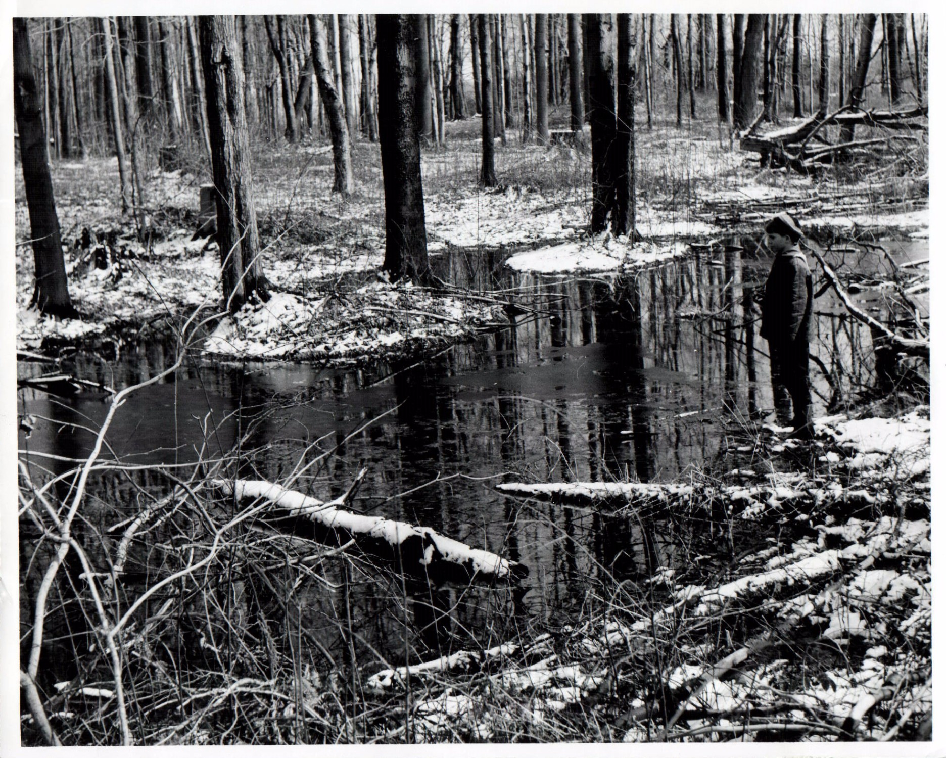 April 2, 1972
Tod Mills
Shown with depressional soil at the Mrs.Fern Farm in Ashland Co near Geneva.
Photo ID#: M5