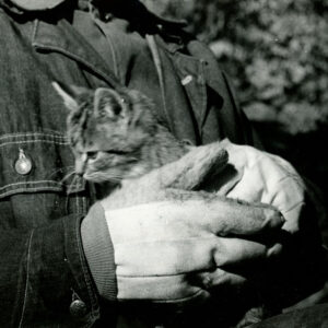 04_06_1971_Thoburn_Britton_with_cat_at_farm_in_N.County_website___Copy-738