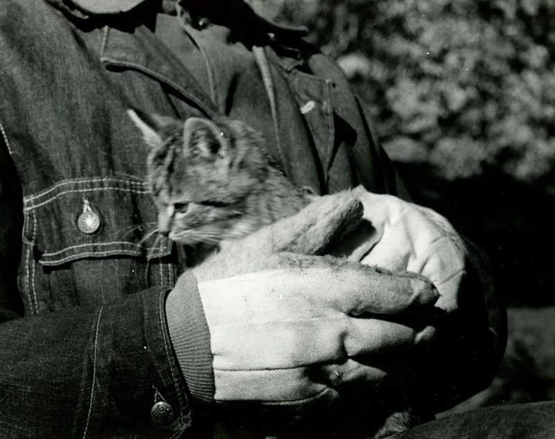 April 6, 1971
Thoburn Britton with a cat
Photo ID#: A335