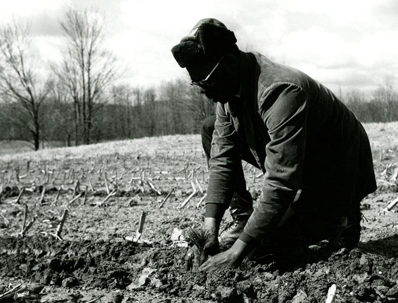 April 6, 1974
Brooks Sellers helps plant trees at the Dr. Marvin Dees Farm
Photo ID#: S117