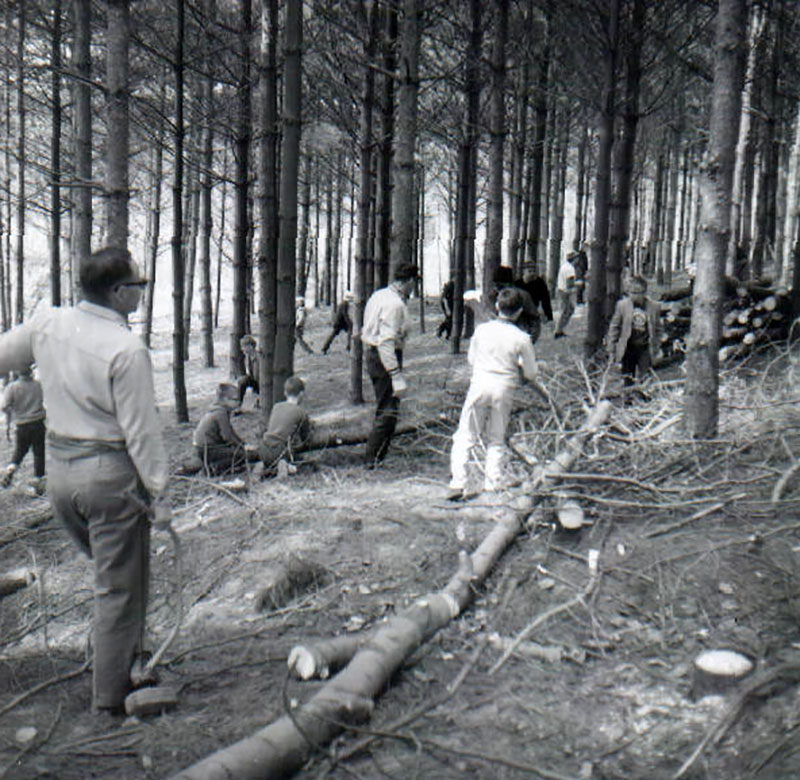 April 8, 1967
Timber stand improvement
Photo ID#: RSWCD284