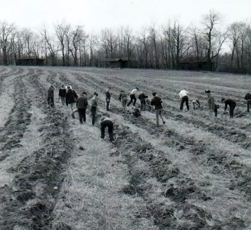 April 8, 1967
Tree planting
Photo ID#: E420