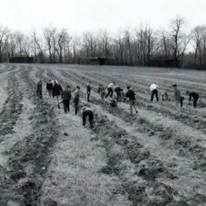 04_08_1967_Tree_Planting__2_website-3457