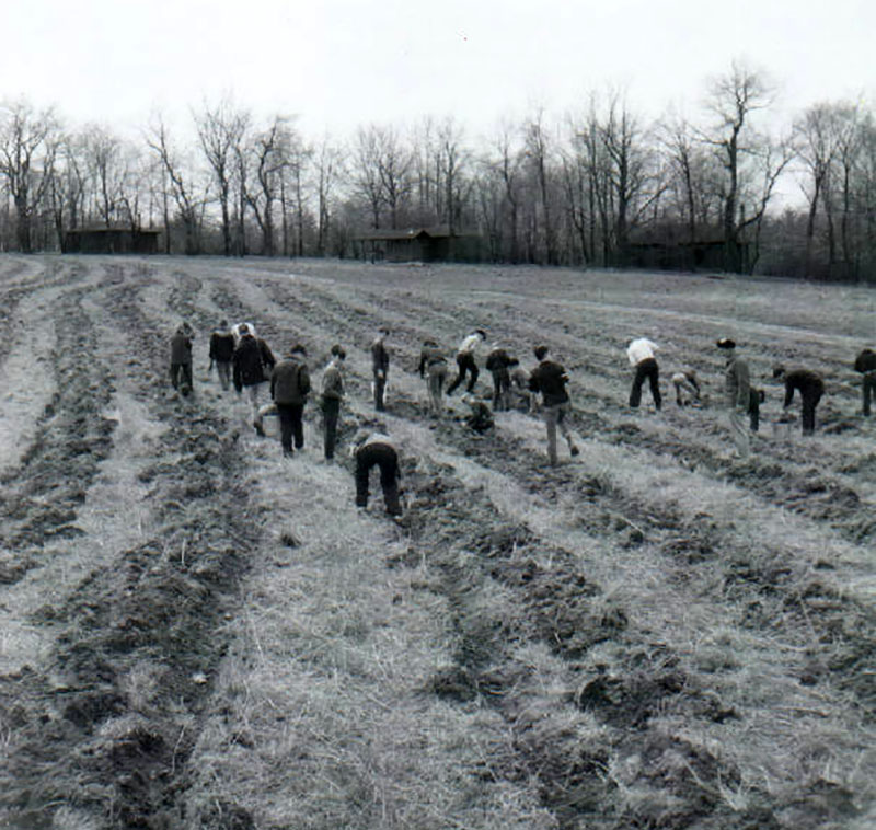 April 8, 1967
Tree planting
Photo ID#: RSWCD286